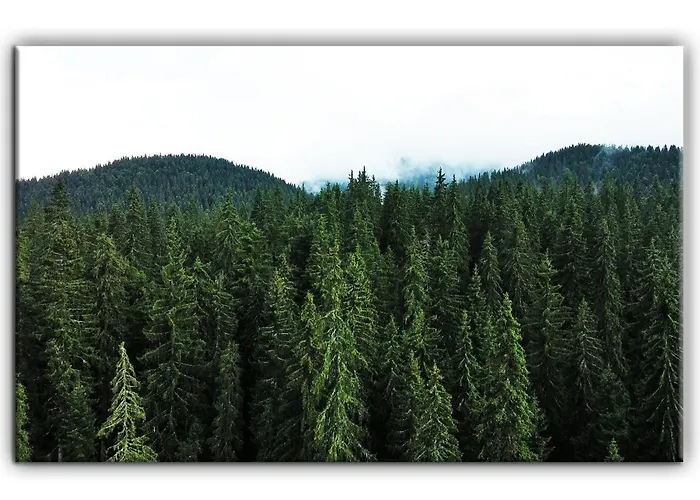 Grand B27 Appartement *